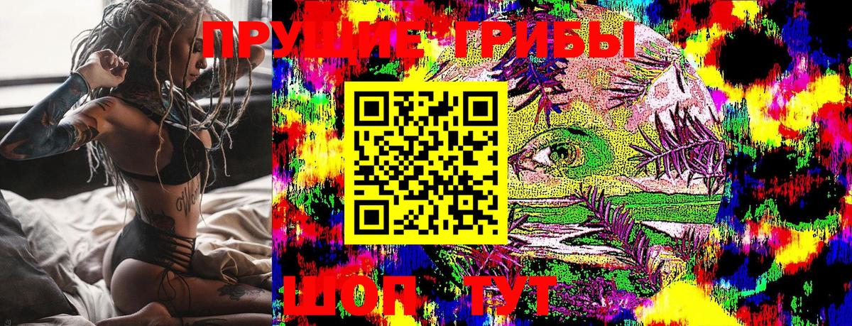 Псилоцибиновые грибы Psilocybine cubensis Вязьма