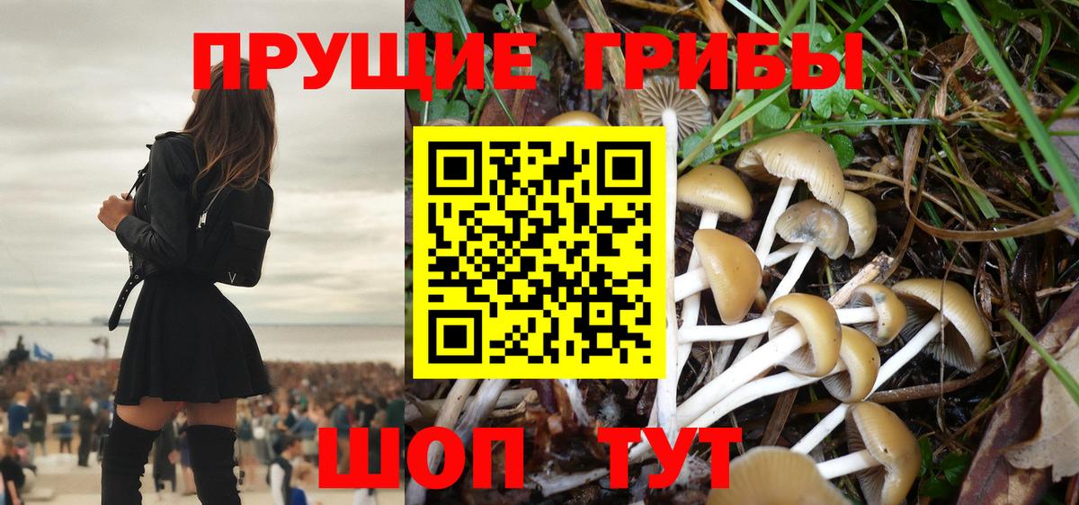 Вязьма  Псилоцибиновые грибы ЛСД  Вход с VPN 